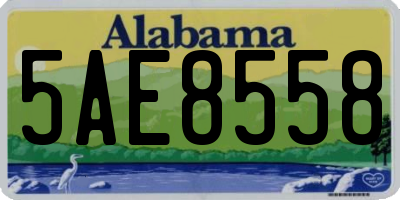 AL license plate 5AE8558