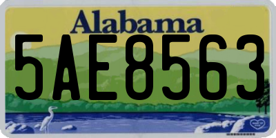 AL license plate 5AE8563