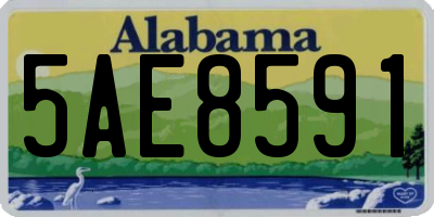 AL license plate 5AE8591