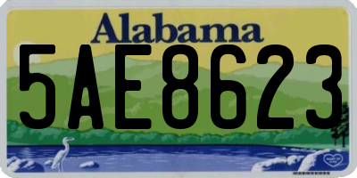 AL license plate 5AE8623