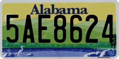 AL license plate 5AE8624