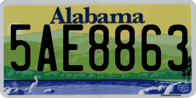 AL license plate 5AE8863