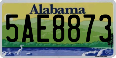 AL license plate 5AE8873