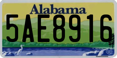 AL license plate 5AE8916