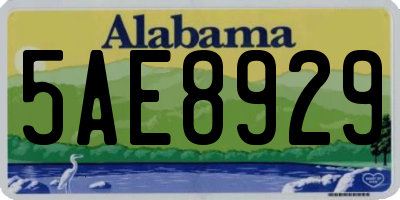 AL license plate 5AE8929