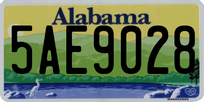 AL license plate 5AE9028