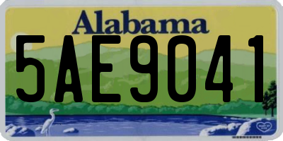 AL license plate 5AE9041