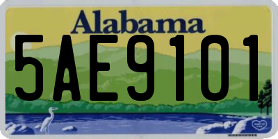 AL license plate 5AE9101