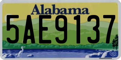 AL license plate 5AE9137