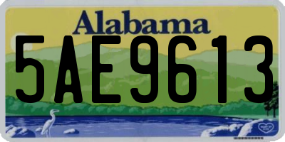 AL license plate 5AE9613