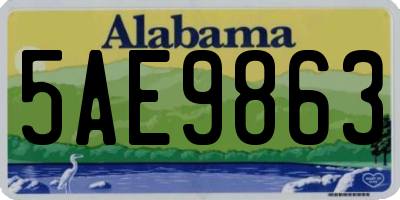AL license plate 5AE9863