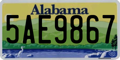 AL license plate 5AE9867
