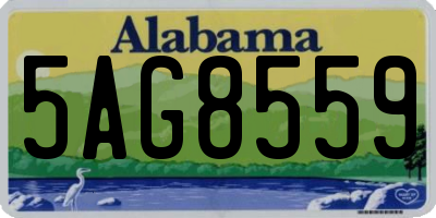 AL license plate 5AG8559