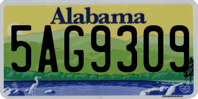 AL license plate 5AG9309