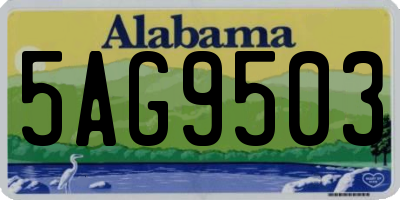 AL license plate 5AG9503
