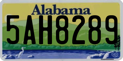 AL license plate 5AH8289