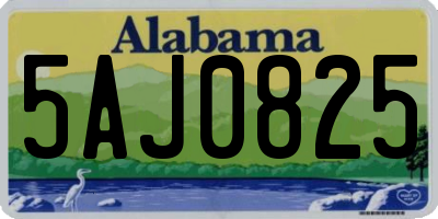AL license plate 5AJ0825