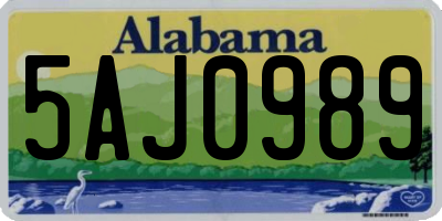 AL license plate 5AJ0989