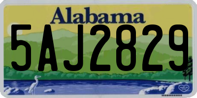 AL license plate 5AJ2829