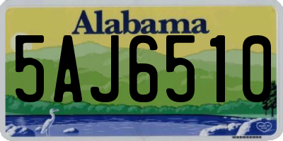 AL license plate 5AJ6510