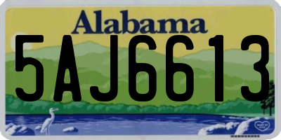 AL license plate 5AJ6613