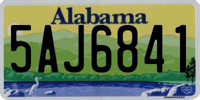 AL license plate 5AJ6841