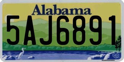 AL license plate 5AJ6891