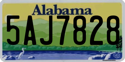 AL license plate 5AJ7828