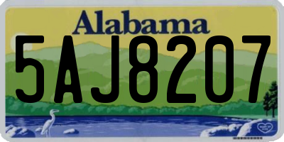AL license plate 5AJ8207