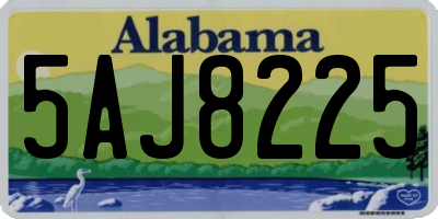 AL license plate 5AJ8225