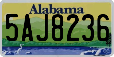 AL license plate 5AJ8236