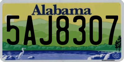 AL license plate 5AJ8307