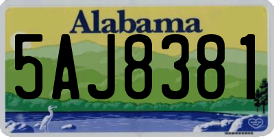 AL license plate 5AJ8381