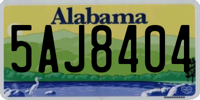 AL license plate 5AJ8404