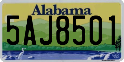 AL license plate 5AJ8501