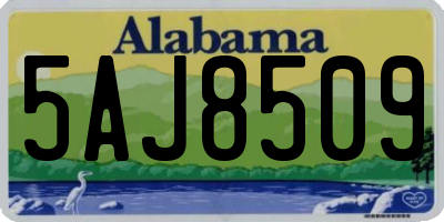 AL license plate 5AJ8509