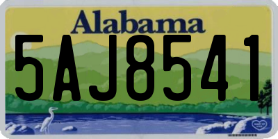 AL license plate 5AJ8541