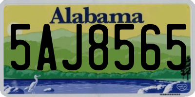 AL license plate 5AJ8565