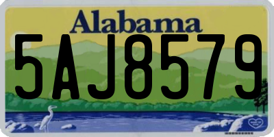 AL license plate 5AJ8579
