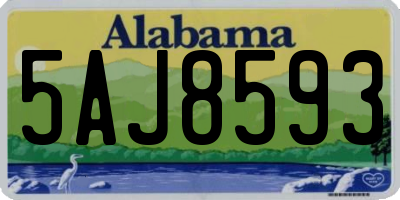 AL license plate 5AJ8593
