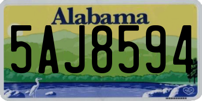 AL license plate 5AJ8594