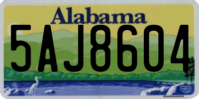 AL license plate 5AJ8604