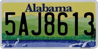 AL license plate 5AJ8613