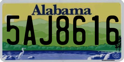 AL license plate 5AJ8616