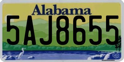 AL license plate 5AJ8655