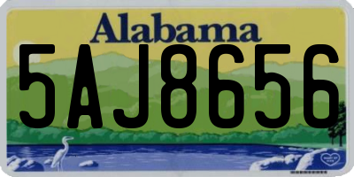 AL license plate 5AJ8656