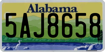AL license plate 5AJ8658