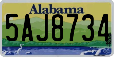 AL license plate 5AJ8734