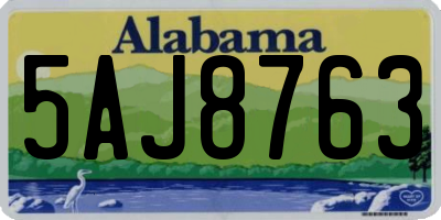 AL license plate 5AJ8763
