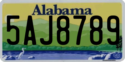 AL license plate 5AJ8789